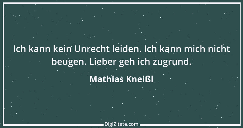 Zitat von Mathias Kneißl 1