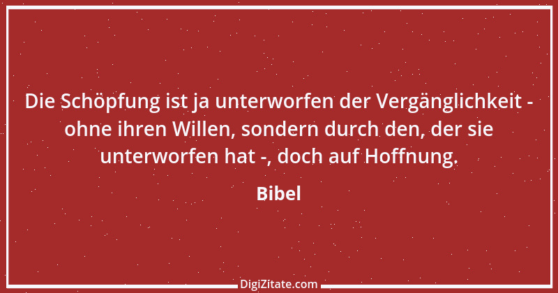 Zitat von Bibel 255