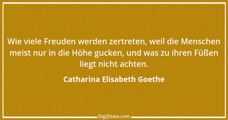 Zitat von Catharina Elisabeth Goethe 9