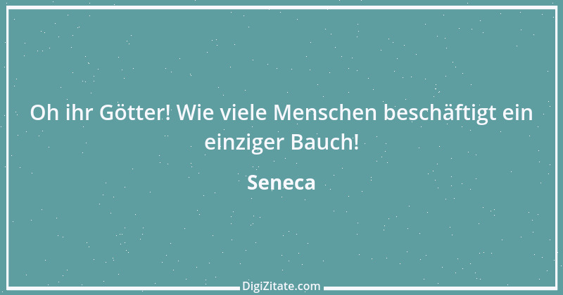 Zitat von Seneca 357