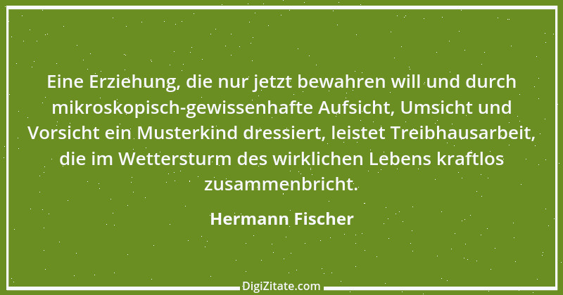 Zitat von Hermann Fischer 16