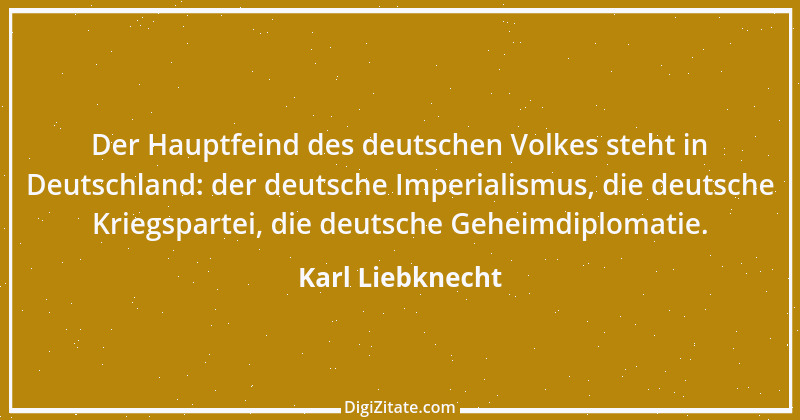 Zitat von Karl Liebknecht 4