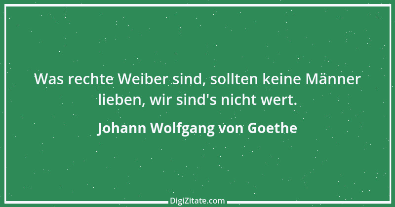 Zitat von Johann Wolfgang von Goethe 1223