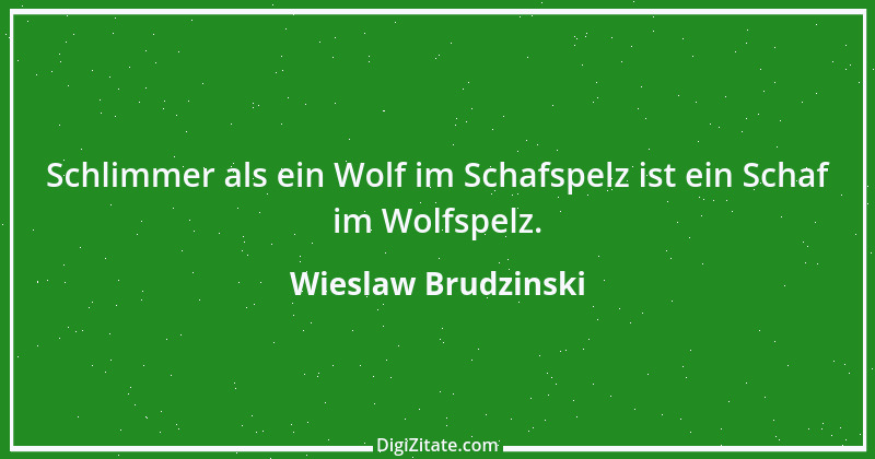 Zitat von Wieslaw Brudzinski 16