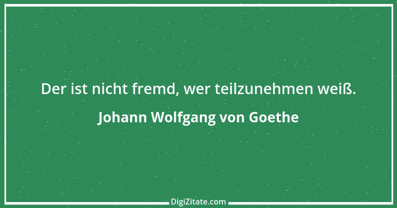 Zitat von Johann Wolfgang von Goethe 225