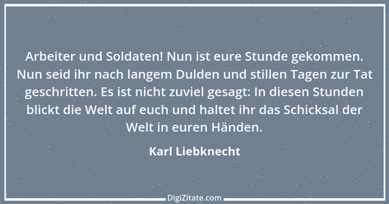 Zitat von Karl Liebknecht 7