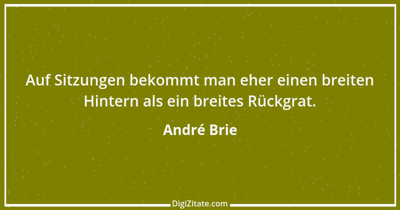 Zitat von André Brie 12