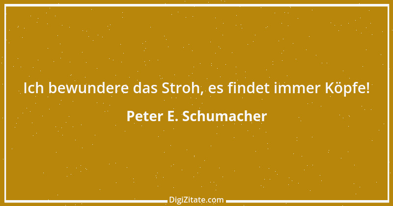 Zitat von Peter E. Schumacher 581