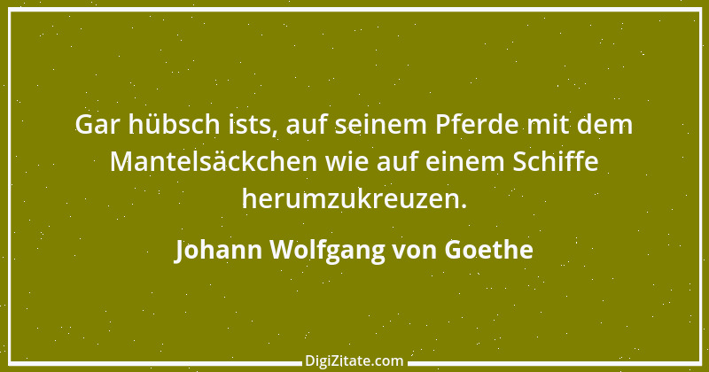 Zitat von Johann Wolfgang von Goethe 1226