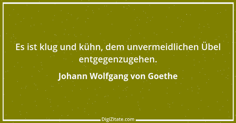 Zitat von Johann Wolfgang von Goethe 4226