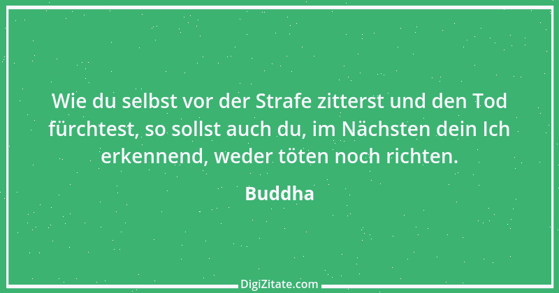 Zitat von Buddha 5