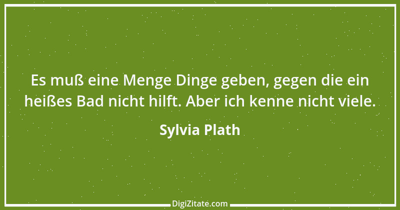 Zitat von Sylvia Plath 5