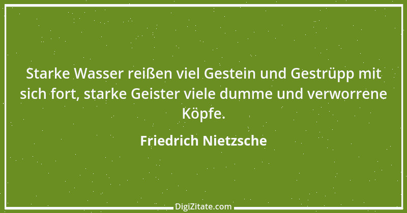 Zitat von Friedrich Nietzsche 166