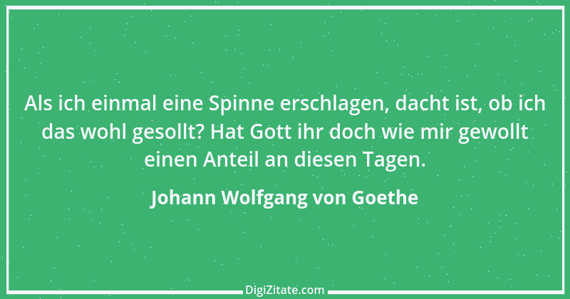 Zitat von Johann Wolfgang von Goethe 229