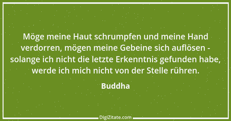 Zitat von Buddha 7