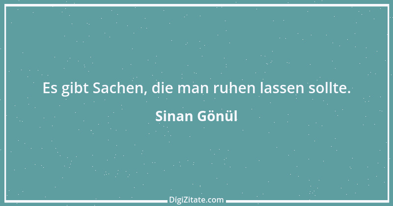 Zitat von Sinan Gönül 35