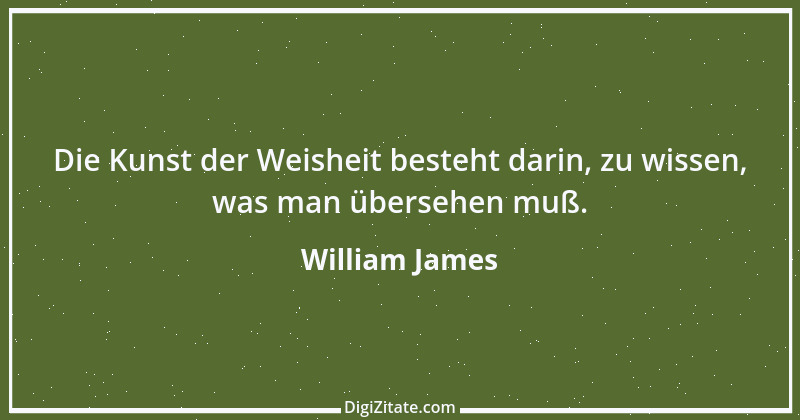 Zitat von William James 30