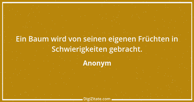 Zitat von Anonym 5199