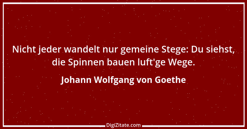 Zitat von Johann Wolfgang von Goethe 231