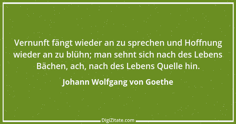 Zitat von Johann Wolfgang von Goethe 3231