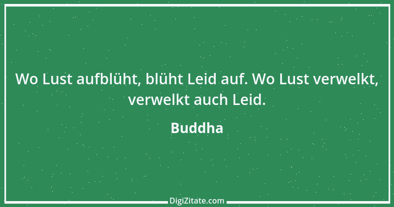 Zitat von Buddha 9