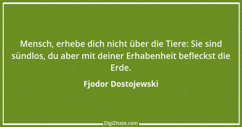 Zitat von Fjodor Dostojewski 21