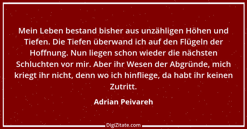 Zitat von Adrian Peivareh 22