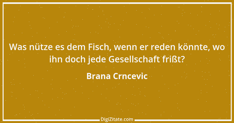 Zitat von Brana Crncevic 2