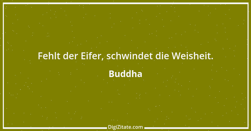 Zitat von Buddha 12