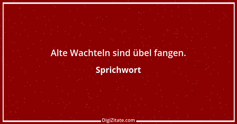 Zitat von Sprichwort 3227