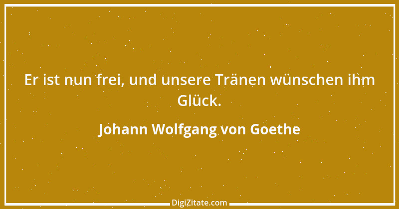 Zitat von Johann Wolfgang von Goethe 1236