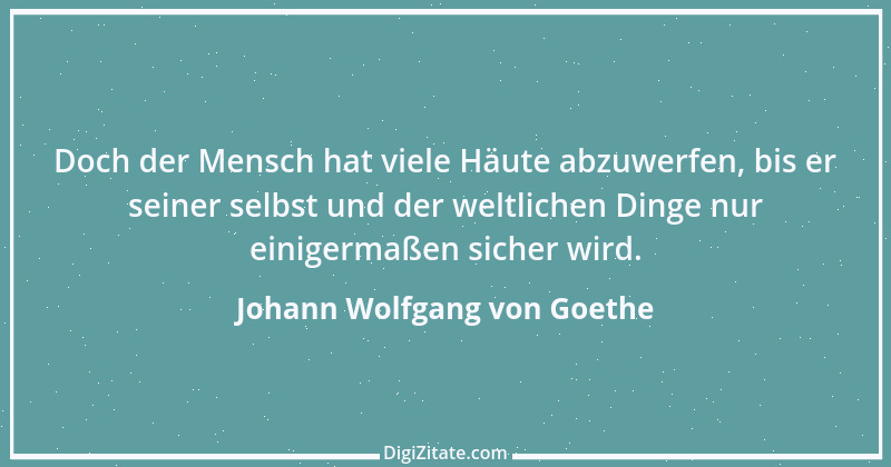 Zitat von Johann Wolfgang von Goethe 4237