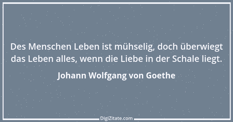 Zitat von Johann Wolfgang von Goethe 1238