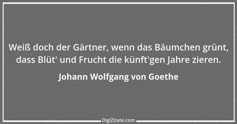 Zitat von Johann Wolfgang von Goethe 1239