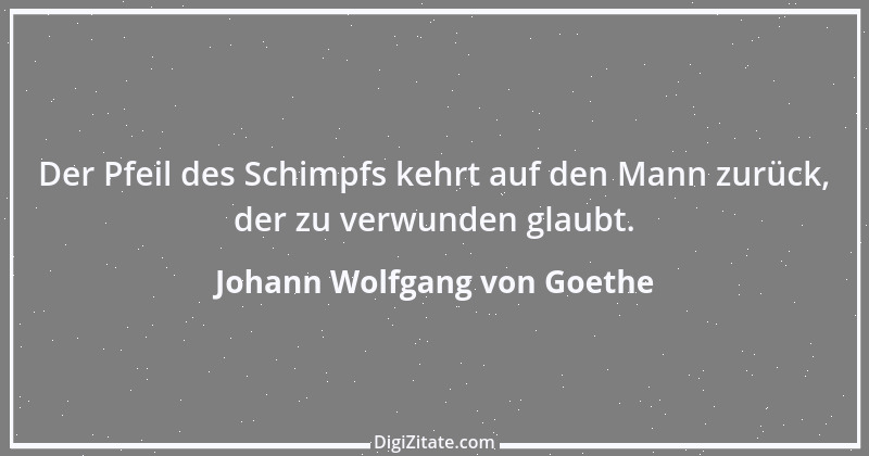 Zitat von Johann Wolfgang von Goethe 2240