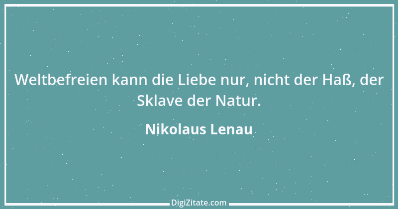 Zitat von Nikolaus Lenau 29