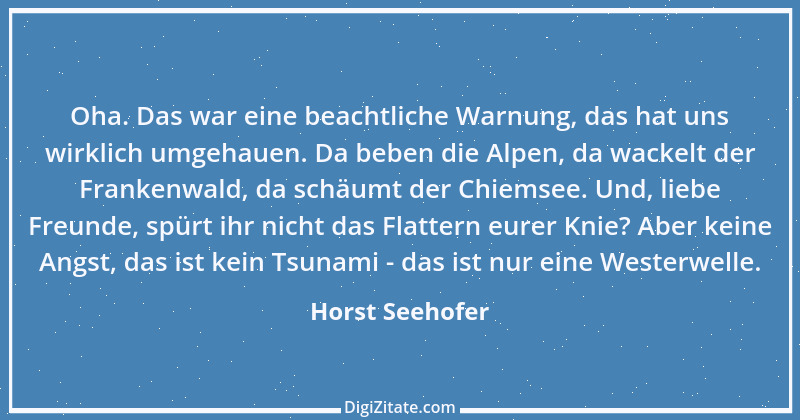 Zitat von Horst Seehofer 11