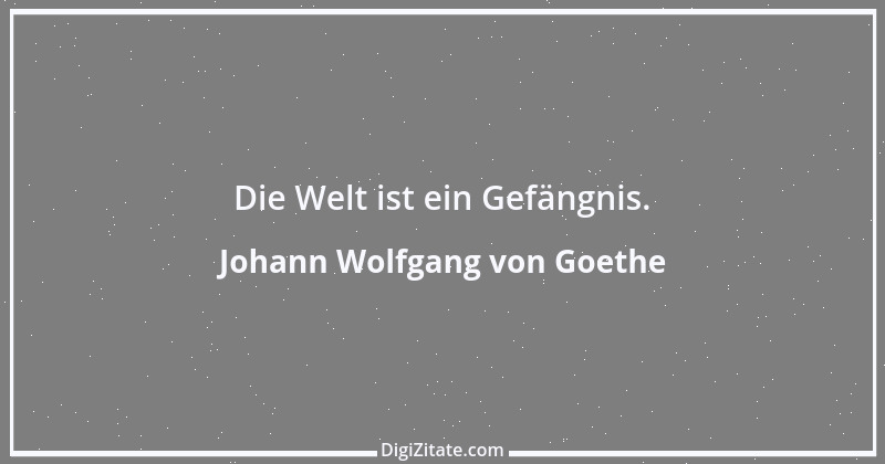 Zitat von Johann Wolfgang von Goethe 2241