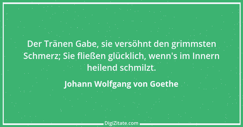 Zitat von Johann Wolfgang von Goethe 2244