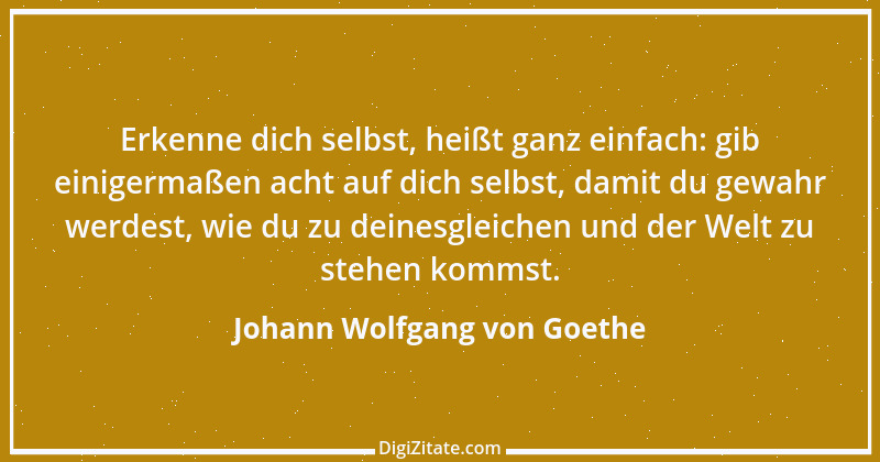 Zitat von Johann Wolfgang von Goethe 244