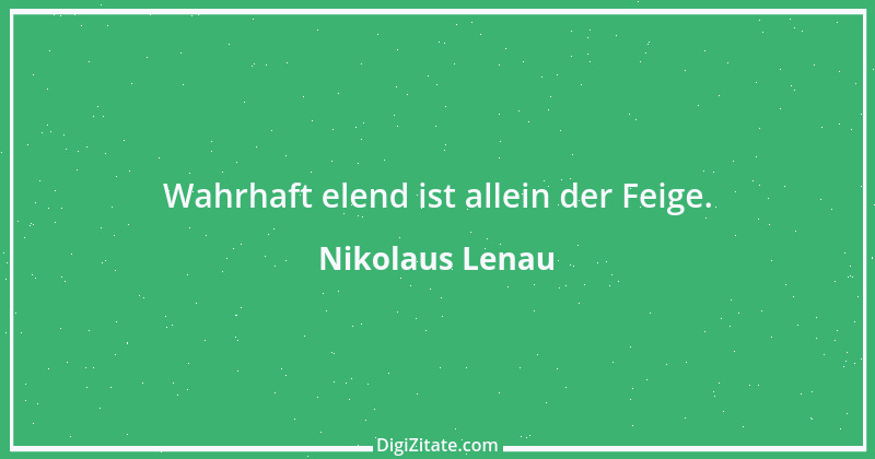 Zitat von Nikolaus Lenau 34