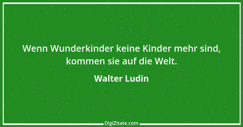 Zitat von Walter Ludin 747