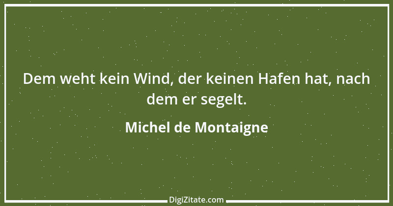 Zitat von Michel de Montaigne 466