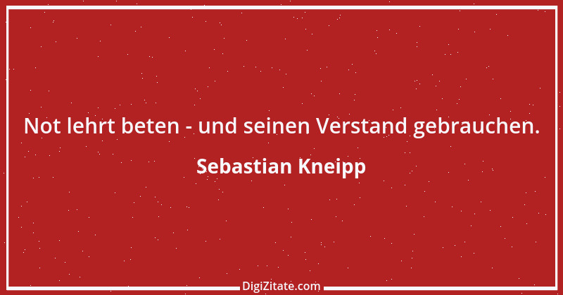 Zitat von Sebastian Kneipp 6