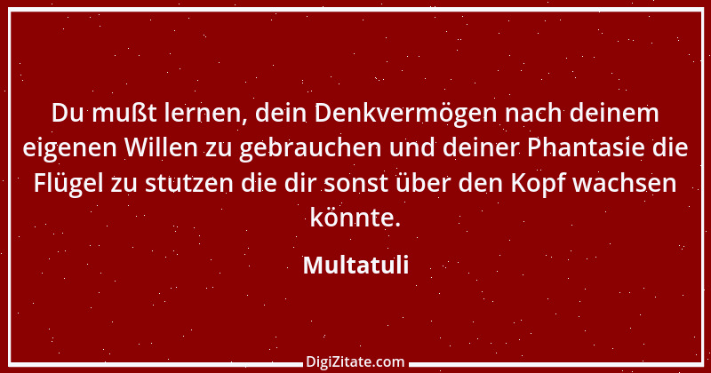 Zitat von Multatuli 33