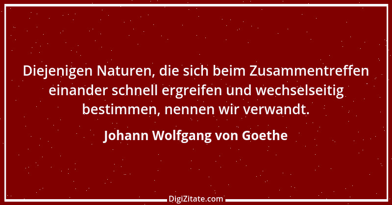 Zitat von Johann Wolfgang von Goethe 2248