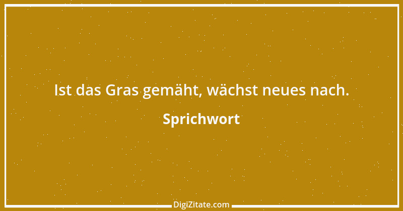 Zitat von Sprichwort 240