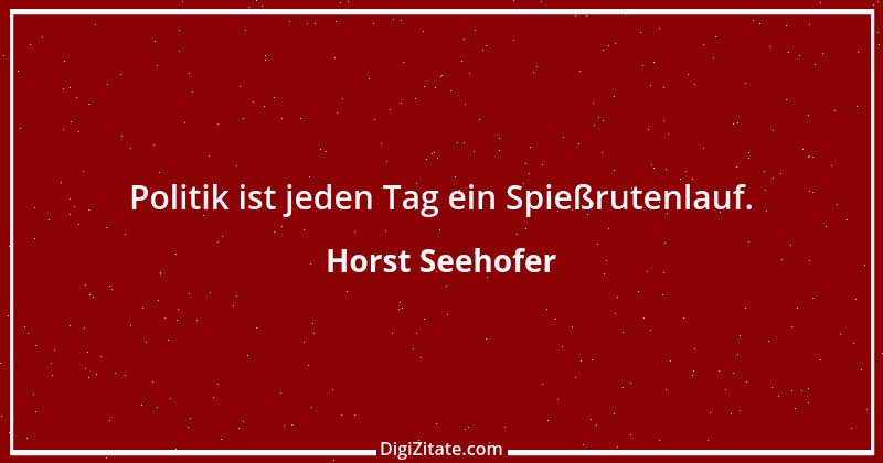 Zitat von Horst Seehofer 19