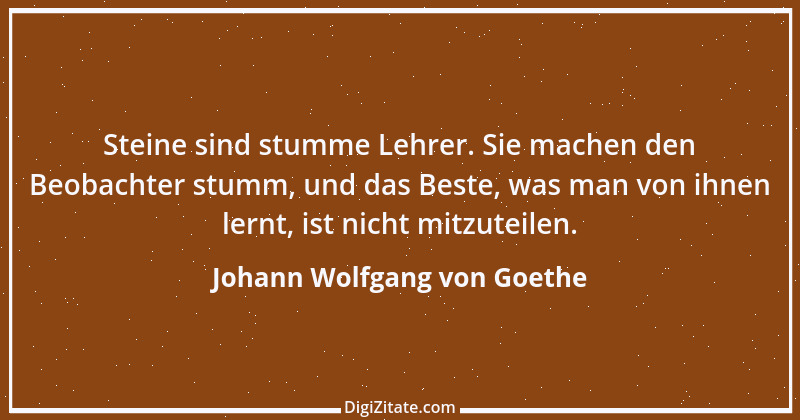 Zitat von Johann Wolfgang von Goethe 249