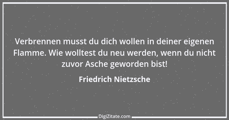 Zitat von Friedrich Nietzsche 1187